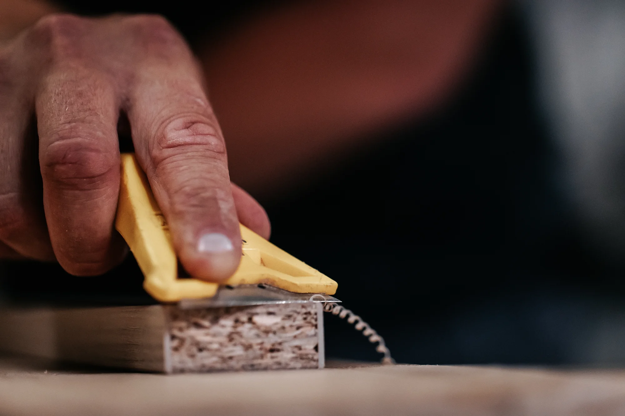 L’atelier et l’équipe — réalisation de l’Atelier des Rocailles